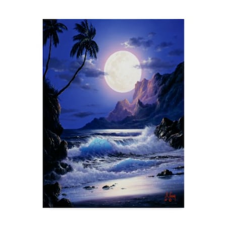 Anthony Casay 'Waves Under The Moon 21' Canvas Art,14x19